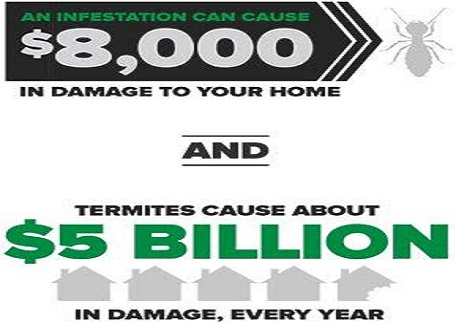 termite control companies Perth